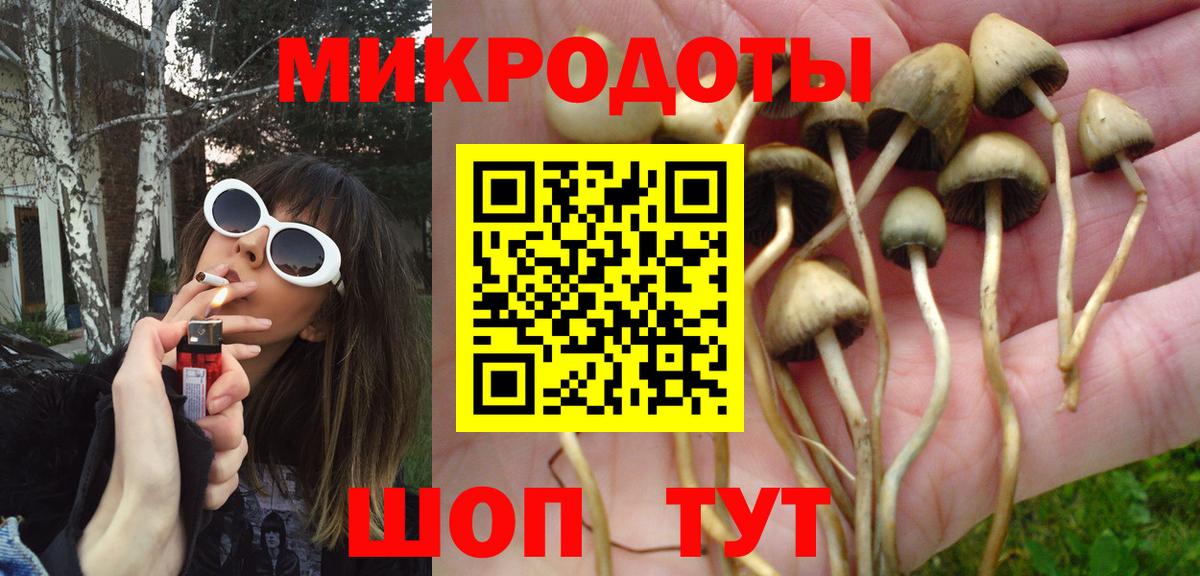 Псилоцибиновые грибы MAGIC MUSHROOMS Химки